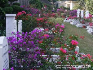 A Haven of Flowers, Parsee Cemetery, Happy Valley, Hong Kong